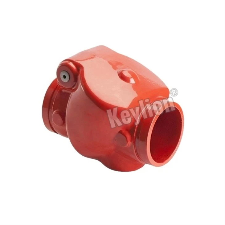 Grooved Swing Check Valve