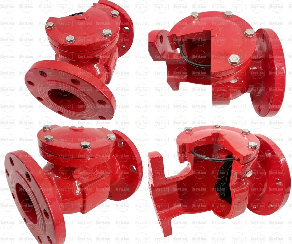 Ductile Iron Swing Check Valve Ductile Iron Swing Check Valve